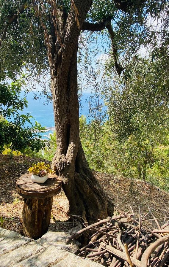 “Da Senso” Relax Nel Verde Vista Mare Finale Ligure Exterior photo
